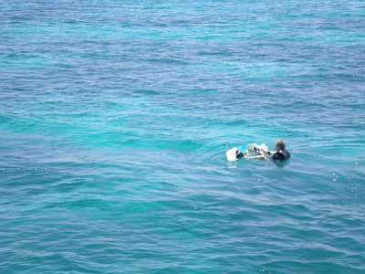 156GirlMania_SecretIsland.JPG