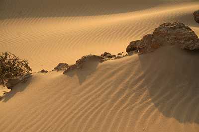 250KiteMania_Dakhla.JPG