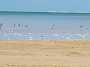 129KiteMania_Dakhla