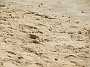 163KiteMania_Dakhla