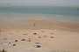 230KiteMania_Dakhla