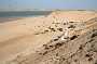 231KiteMania_Dakhla
