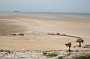 237KiteMania_Dakhla
