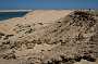 317KiteMania_Dakhla