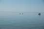103KiteMania_Buesum