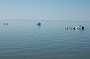 108KiteMania_Buesum