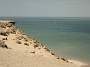 170KiteMania_Dakhla1